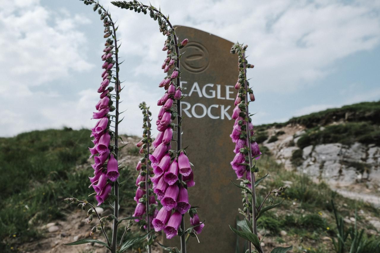 Villa Eagle Rock, Near Skye Strathcarron Exterior foto